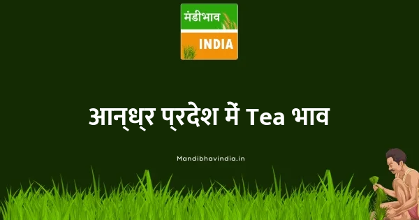 Tea भाव